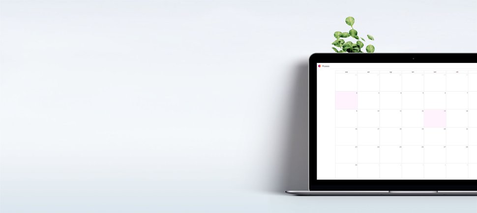 Не пропустите новые вебинары от компании «Пикассо»!