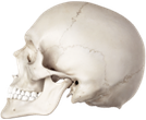 3D